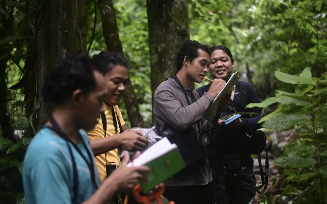 Saving Philippine Forestry: Centre for Sustainability